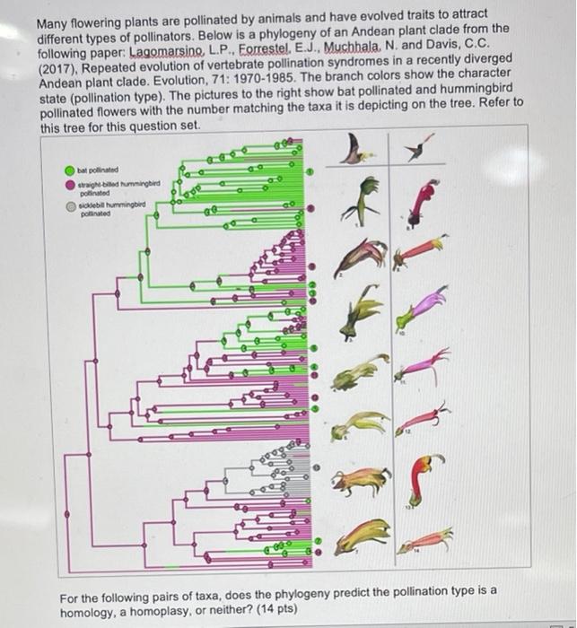 Many flowering plants are pollinated by animals and