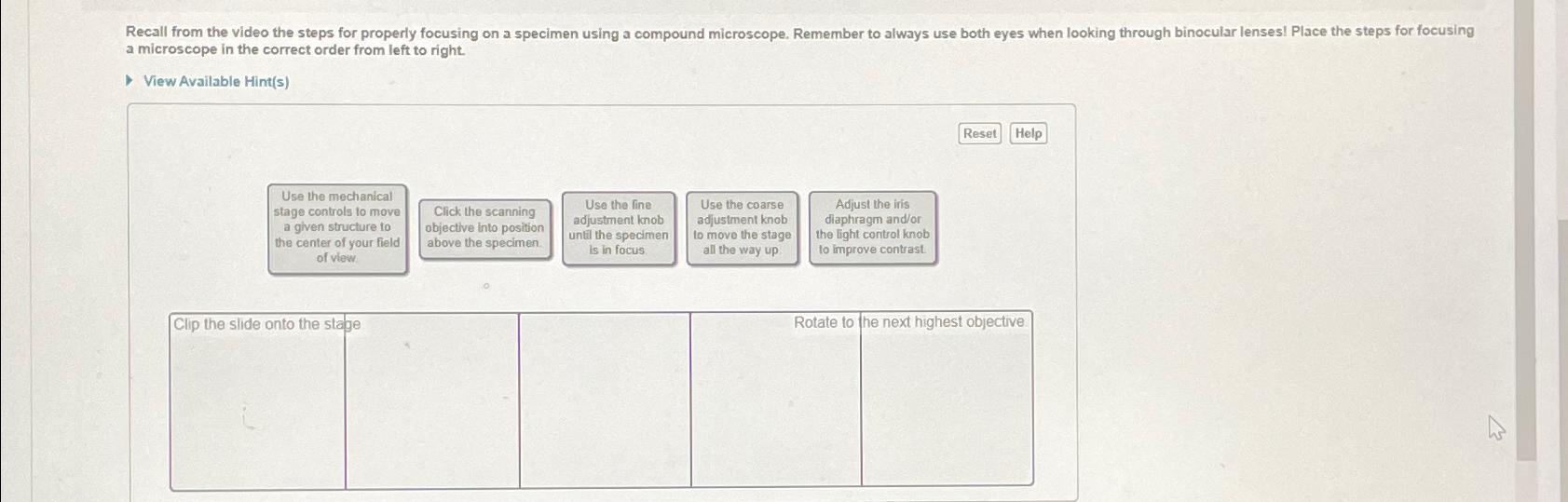 Solved a microscope in the correct order from left to | Chegg.com
