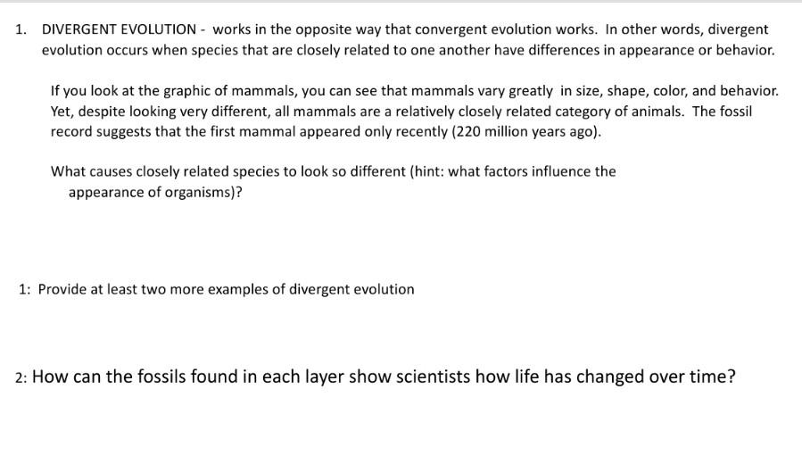 divergent evolution mammals