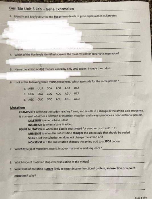 Solved Gen Bio Unit 5 Lab Gene Expression 3. Identify and