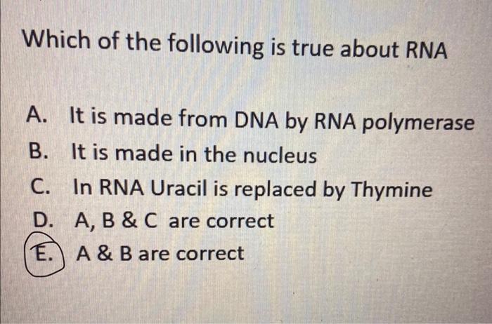 Solved Which of the following is true about RNA A. It is | Chegg.com