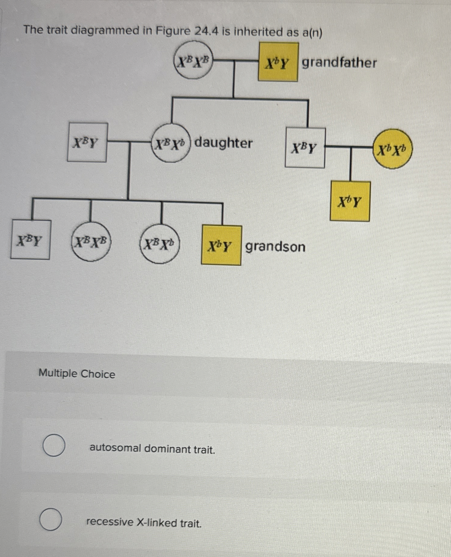 Solved The trait diagrammed in Figure 24.4 ﻿is inherited as | Chegg.com