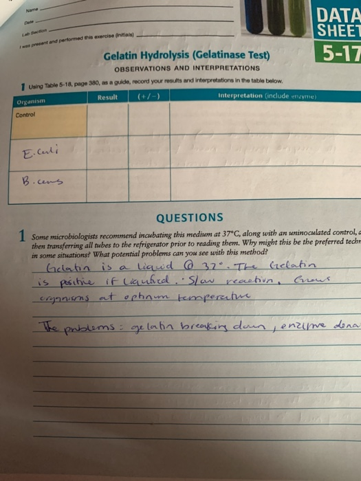 gelatin hydrolysis test