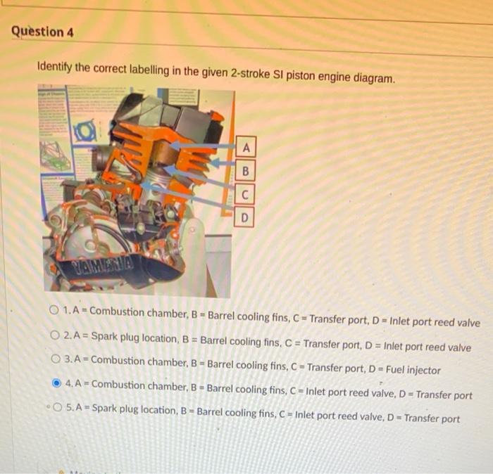 Solved Question 4 Identify the correct labelling in the | Chegg.com