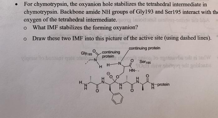 Solved o For chymotrypsin, the oxyanion hole stabilizes the