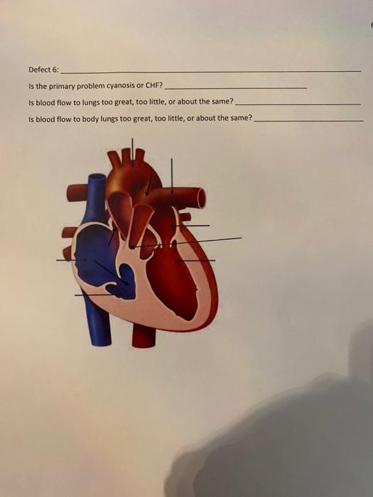 Defect 6: Is the primary problem cyanosis or CHF? Is blood flow to lungs too great, too little, or about the same? Is blood f