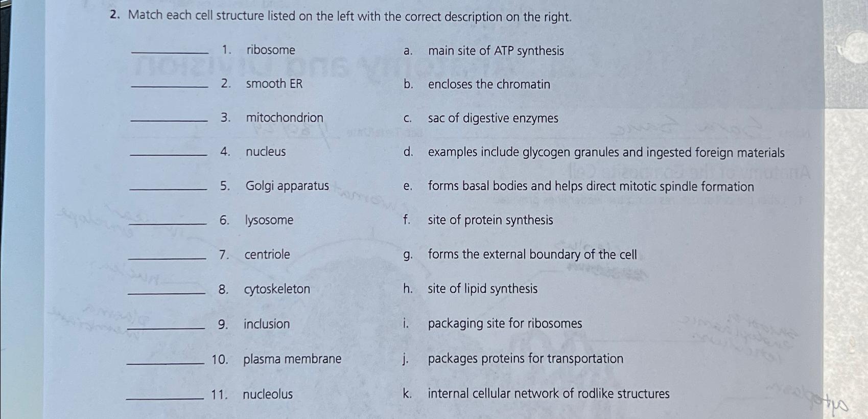 Solved Match each cell structure listed on the left with the | Chegg.com