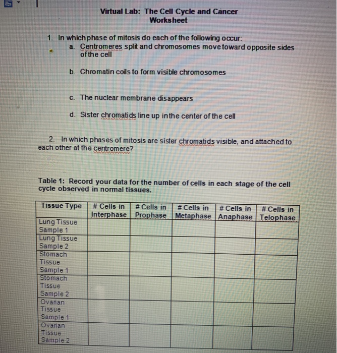 Solved: Virtual Lab: The Cell Cycle And Cancer Worksheet 1 ...