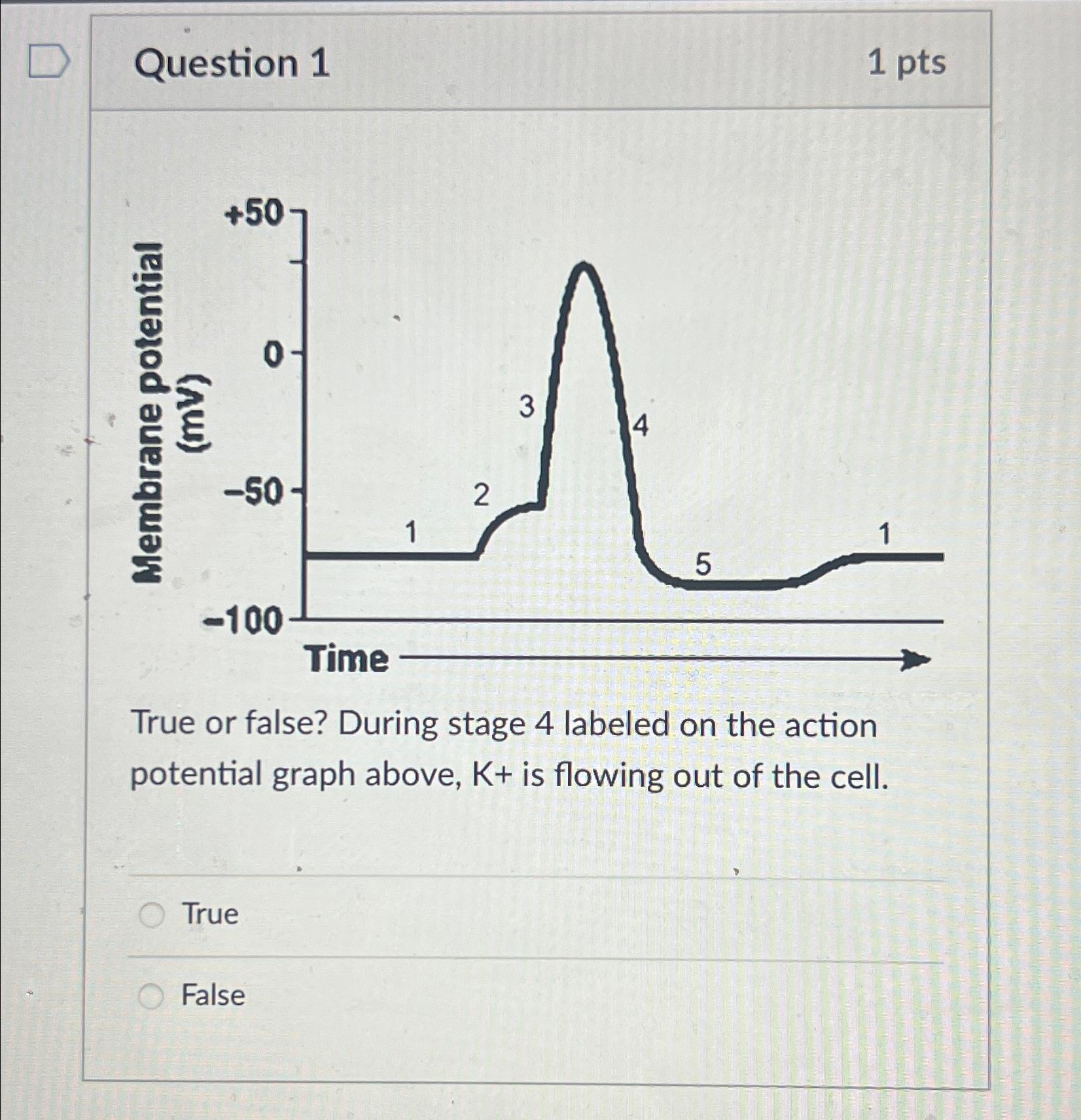Solved Question 11 ﻿ptsTrue or false? During stage 4 | Chegg.com