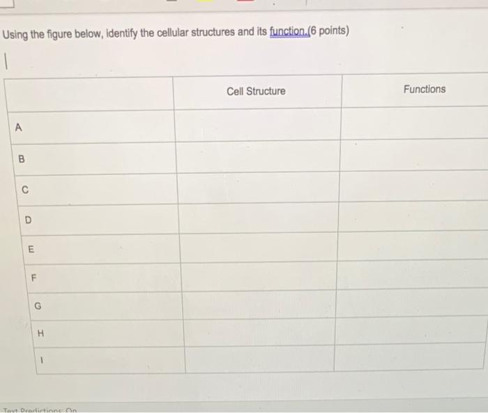 Solved using the figure below, identify the cellular | Chegg.com