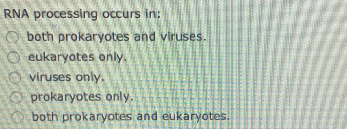 Solved RNA processing occurs in: both prokaryotes and | Chegg.com