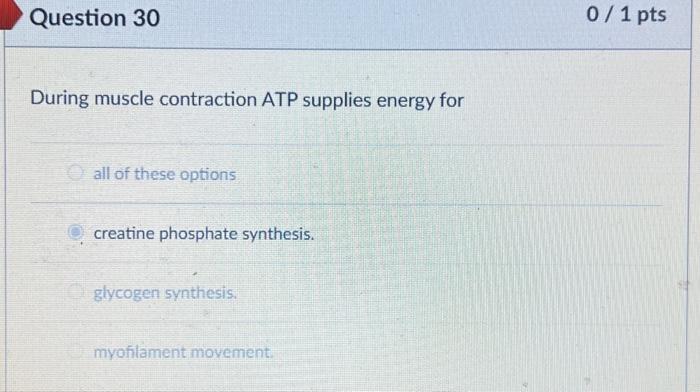 Solved During muscle contraction ATP supplies energy for all | Chegg.com