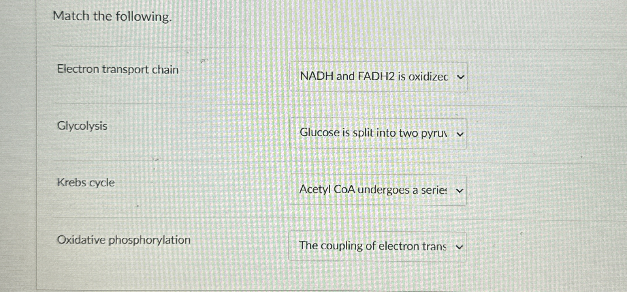 Solved Match the following.Electron transport chainNADH and