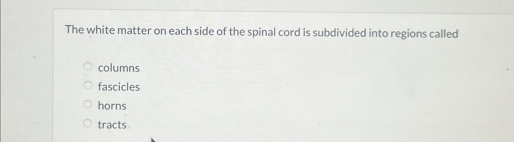 Solved The white matter on each side of the spinal cord is | Chegg.com