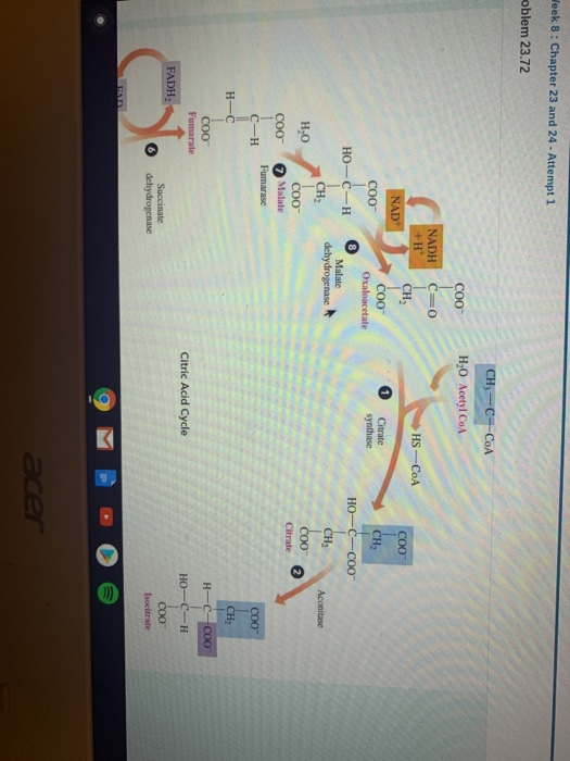 Solved Week 8: Chapter 23 and 24 - Attempt 1 oblem 23.72 CH, | Chegg.com