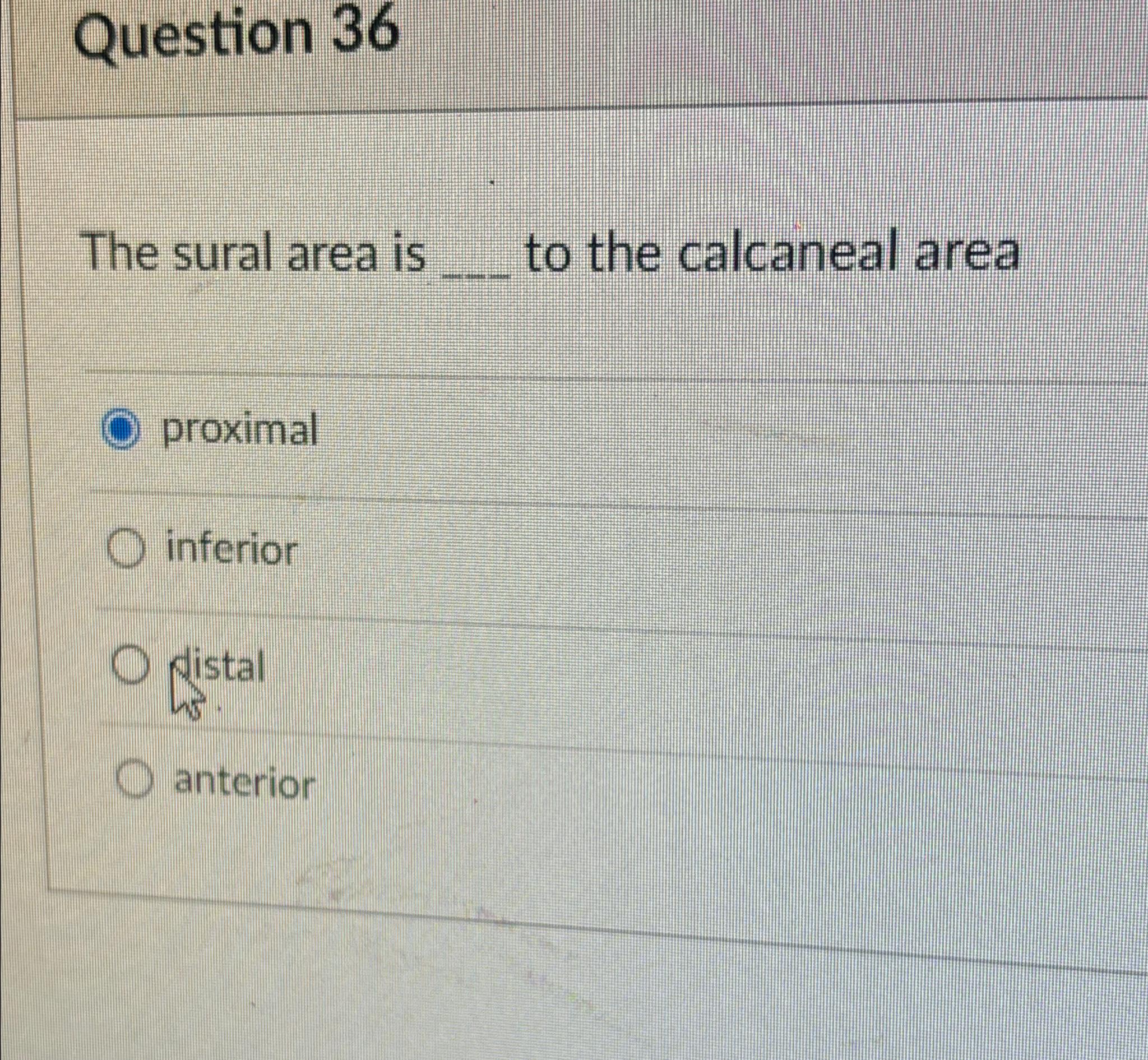 Solved Question 36The sural area is to the calcaneal | Chegg.com