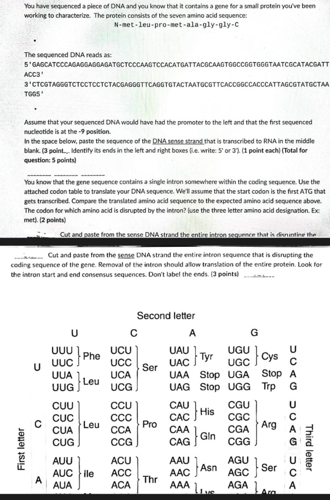 Solved You have sequenced a piece of DNA and you know that | Chegg.com