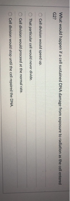 Solved What Would Happen If A Cell Sustained DNA Damage From Chegg