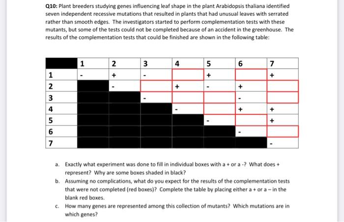 Solved Q10: Plant breeders studying genes influencing leaf | Chegg.com