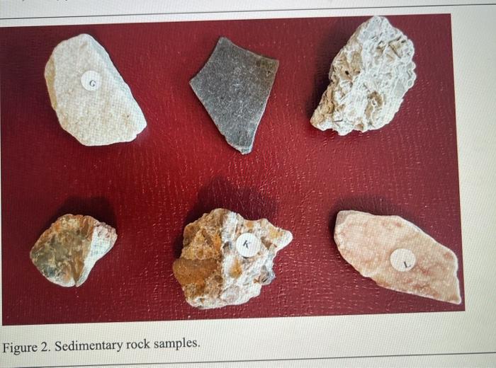 Solved Figure 2. Sedimentary rock samples.Table 3. The