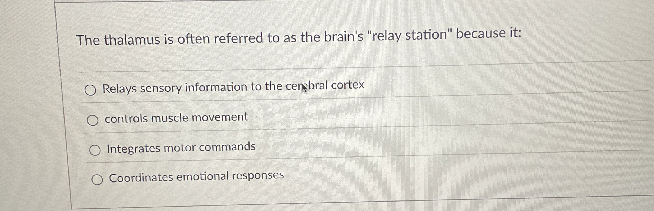 Solved The thalamus is often referred to as the brain's