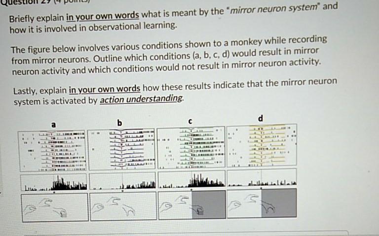 Solved Briefly explain in your own words what is meant by | Chegg.com