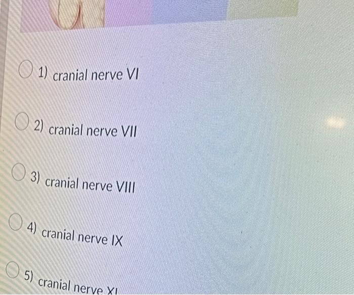 cranial nerve 2 vs 3