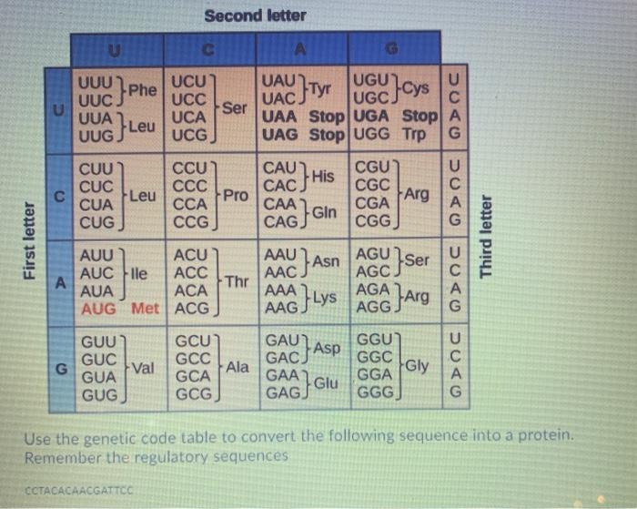Solved Second letter U C A Tyr UUU UCU UAU UGU Phe UUC UCC | Chegg.com