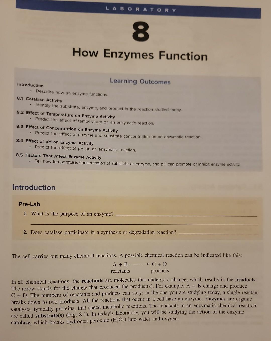 Solved How Enzymes Function Introduction Learning Outcomes - | Chegg.com