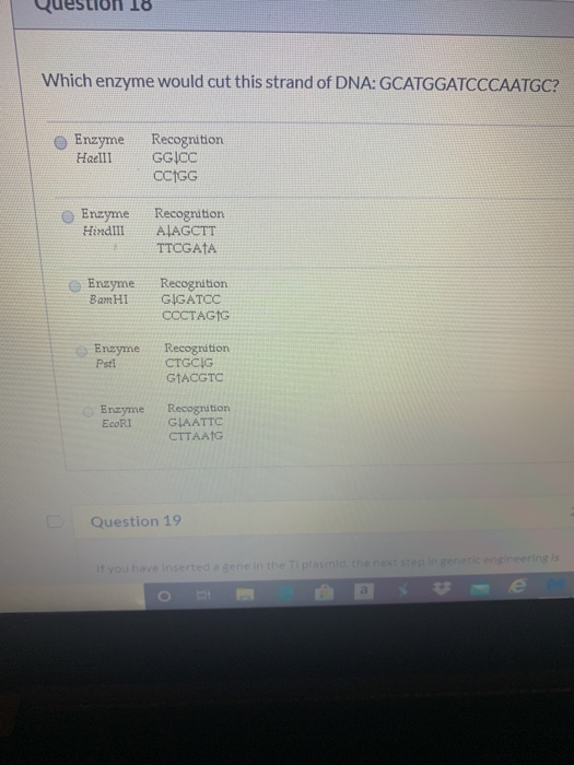 Solved Question 17 Which enzyme does NOT make sticky ends?