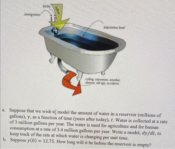 Solved 3. Imagine you fill your bathtub up at a rate of 2