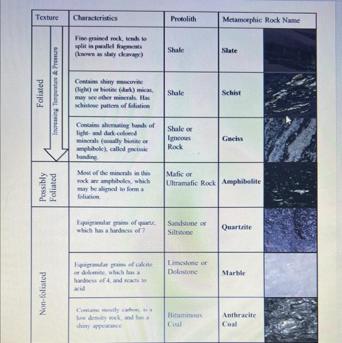 Solved 11.4 LAB EXERCISE Part A - Metamorphic Rock | Chegg.com