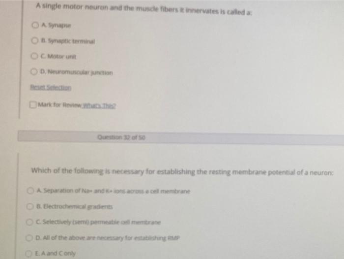 Solved A single motor neuron and the musdefibers it | Chegg.com