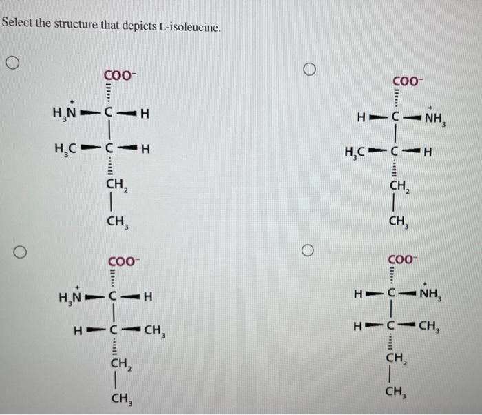 Select the structure that depicts L-isoleucine.