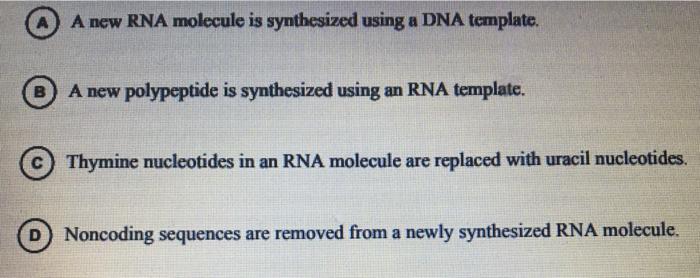 From Pre Mrna To Protein The Critical Initiation Step - 1jaq59z