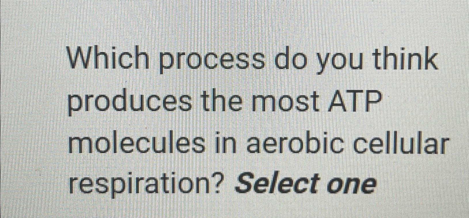 Solved Which process do you think produces the most ATP | Chegg.com