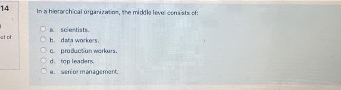 Solved 14 In a hierarchical organization, the middle level | Chegg.com