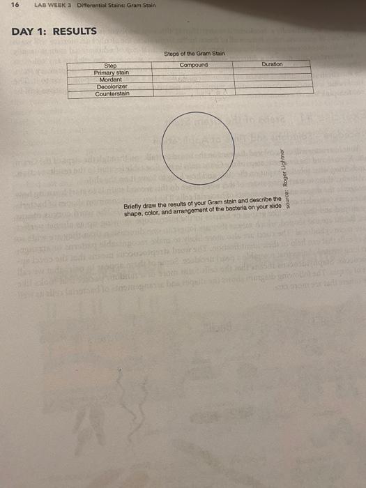 Solved DAY 1: RESULTS Steps of the Gram Stain Briefly draw | Chegg.com