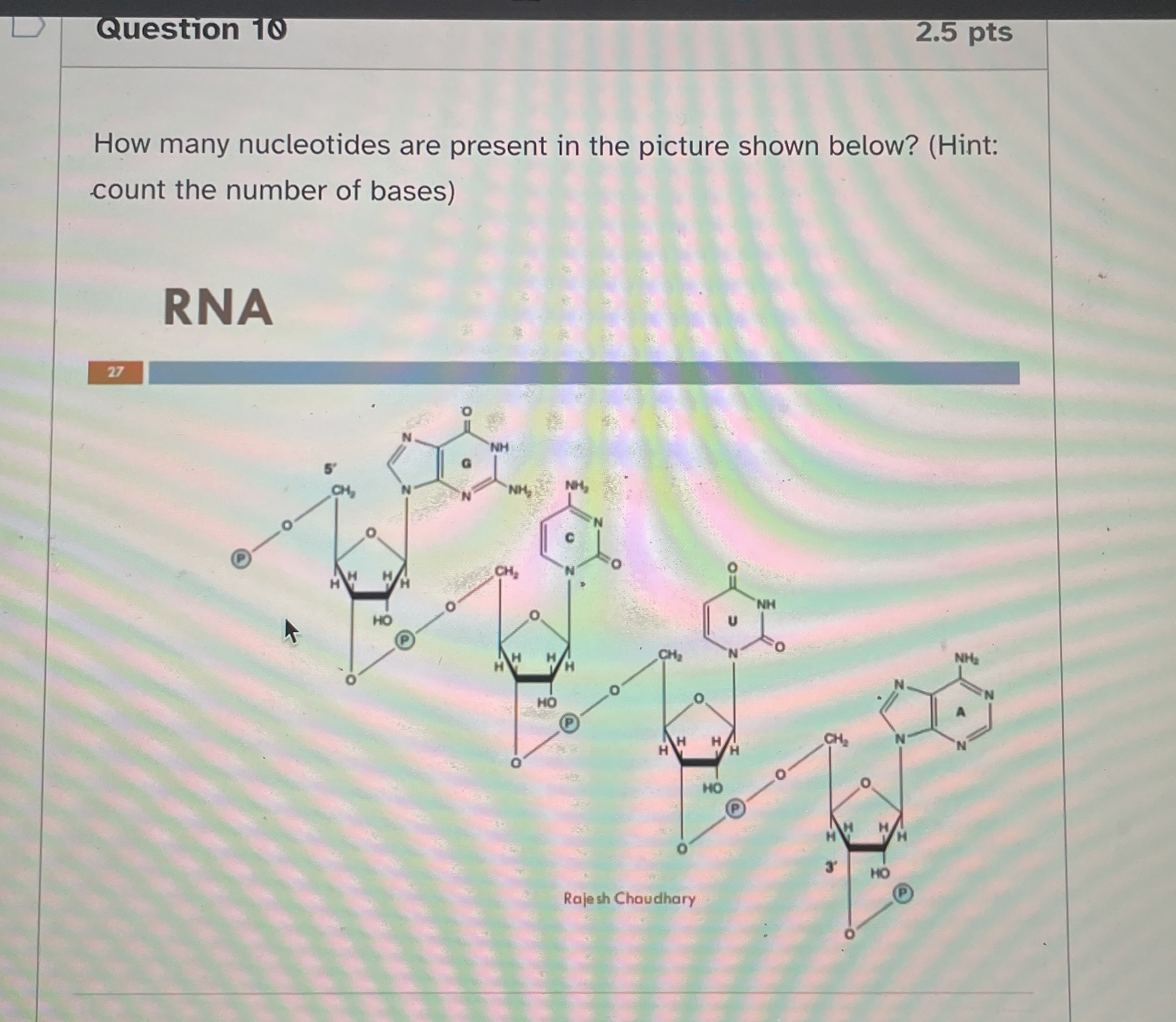 Solved Question 102.5 ﻿ptsHow many nucleotides are present | Chegg.com
