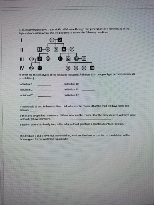 Genetics And Probability Worksheet Answers