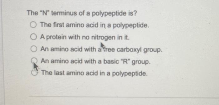 Solved The "N" terminus of a polypeptide is? The first amino | Chegg.com