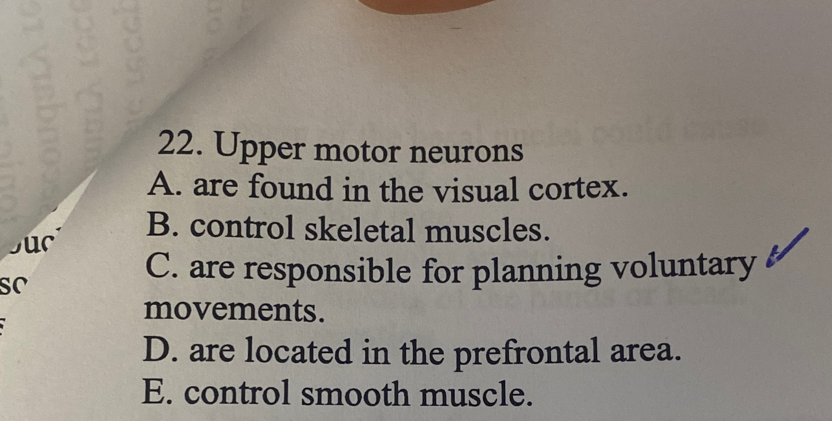 Solved Upper motor neuronsA. ﻿are found in the visual | Chegg.com