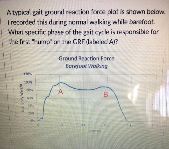Solved A typical gait ground reaction force plot is shown | Chegg.com