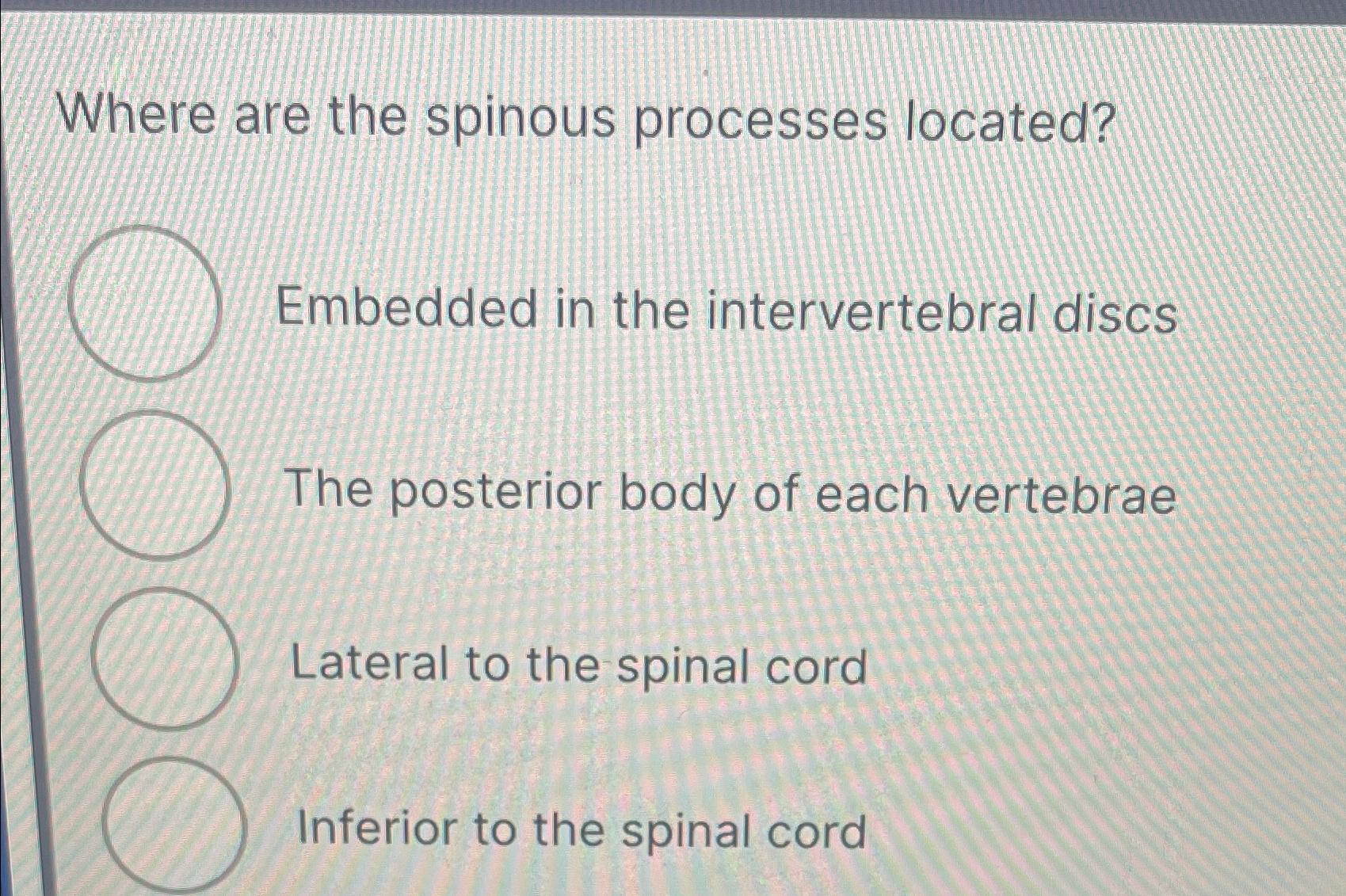 Solved Where are the spinous processes located?Embedded in | Chegg.com