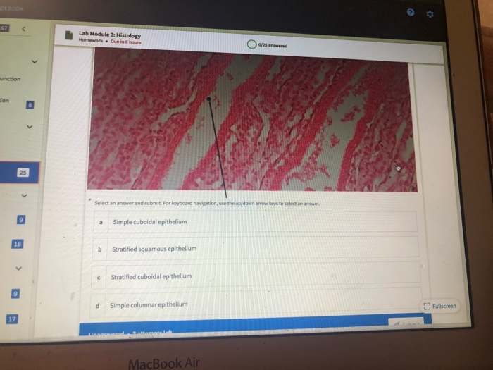 Lab Module 2: Cell Structure and Function Homework . | Chegg.com