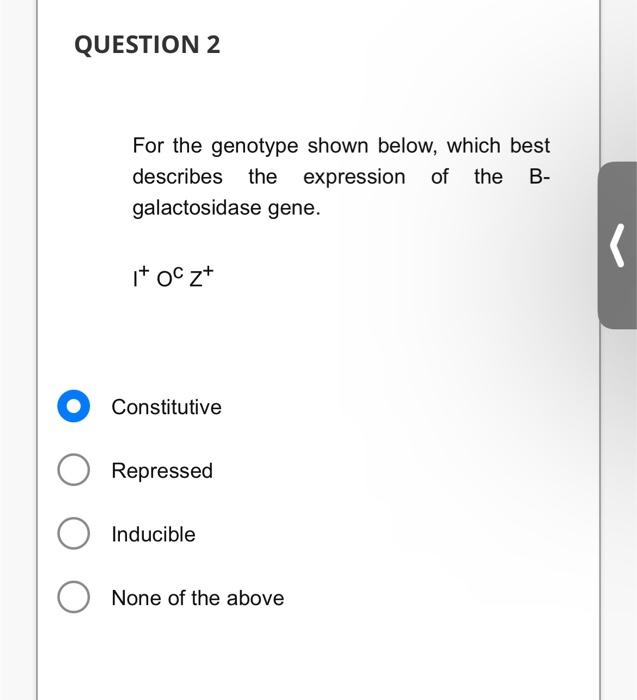 Solved For the genotype shown below, which best describes | Chegg.com