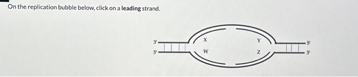 On The Replication Bubble Below, Click On A Leading | Chegg.com