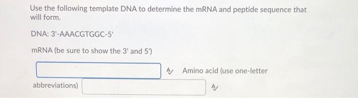 Solved Use the following template DNA to determine the mRNA | Chegg.com