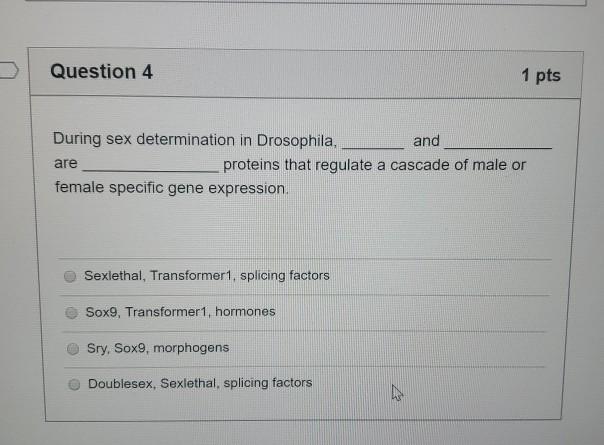 Solved Question 4 1 pts During sex determination in | Chegg.com