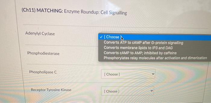 Solved (Ch11) Matching: Enzyme Roundup: Cell Signalling | Chegg.com